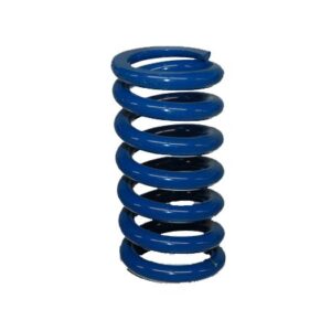 Schmidt Thompson® Valve II Spring